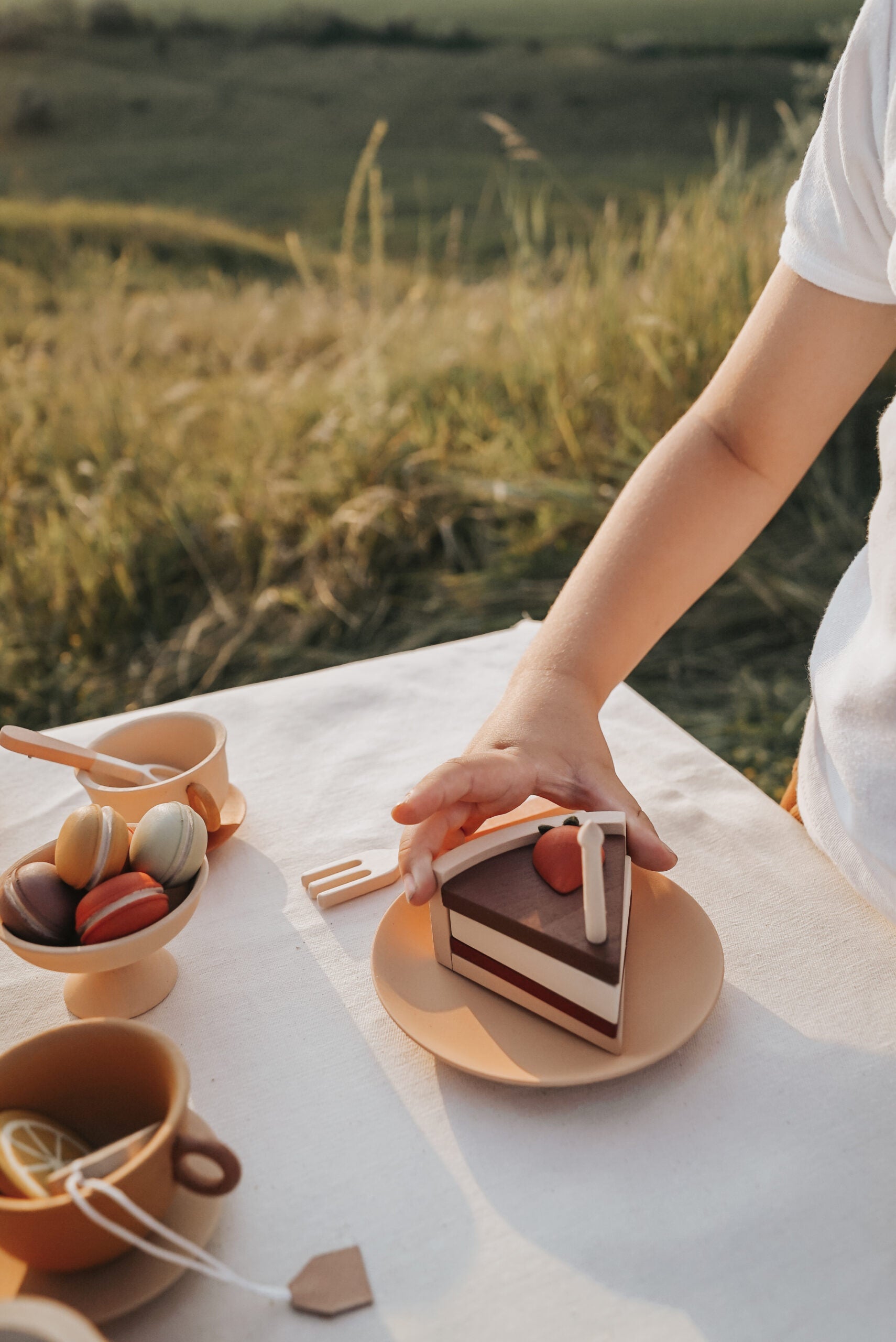 Montessori cake/chocolate